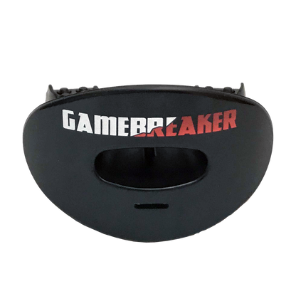 lip protector mouthguard