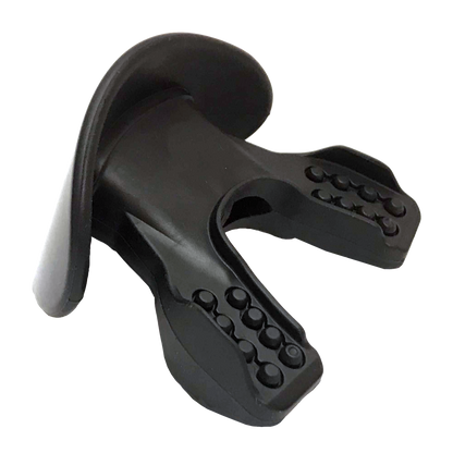 lip protector mouthpiece