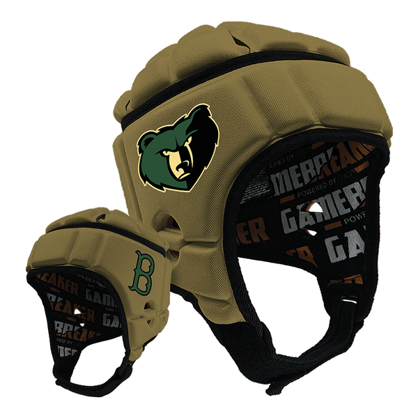 bears head motorcycle helmet Chicago GSH Schutt XP Authentic Helmet protection from dust Where to find Grateful Dead
